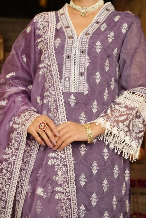 Beautiful Pakistani Suits - Image 2