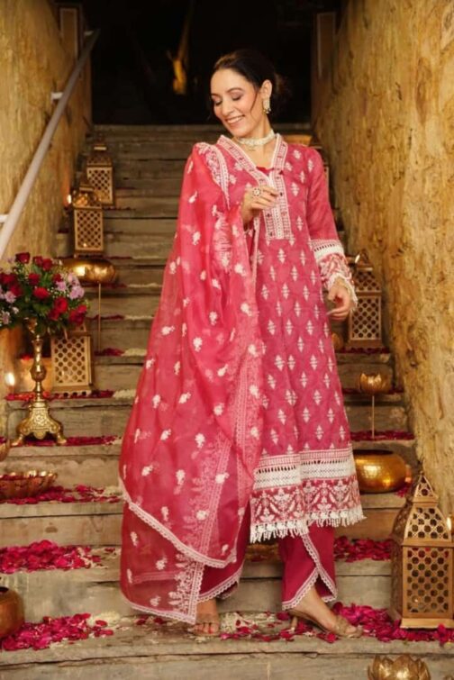 Beautiful Pakistani Suits - Image 9