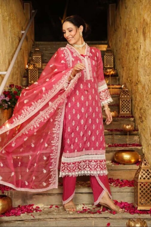 Beautiful Pakistani Suits - Image 8