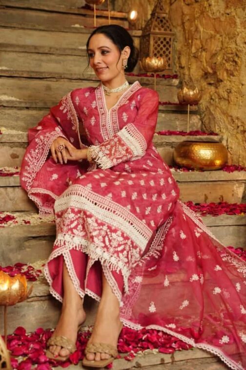 Beautiful Pakistani Suits - Image 10