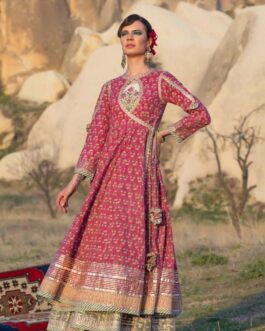 Beautiful Pure Cotton Anarkali