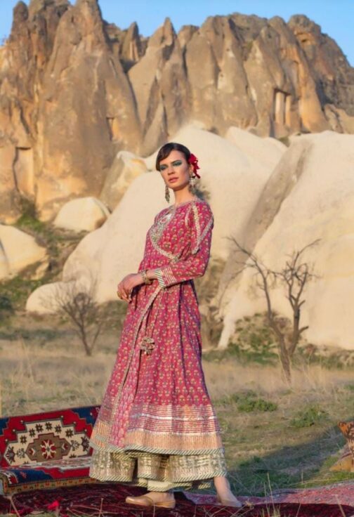 Beautiful Pure Cotton Anarkali - Image 4