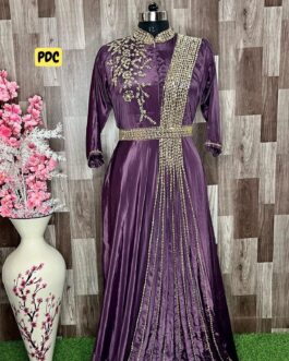 Beautiful Indo-Western Gown