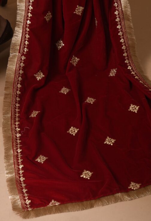Beautiful Heavy Velvet Suit Set - Image 7