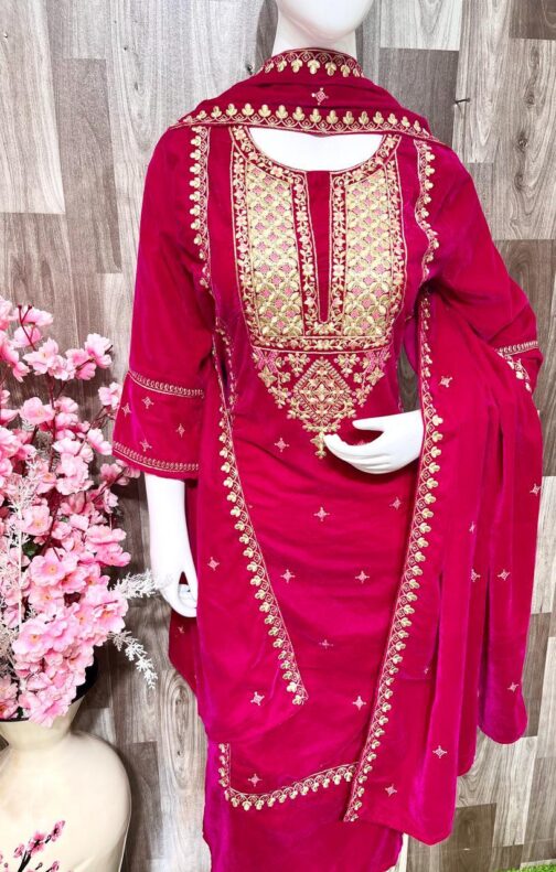 Beautiful Heavy Velvet Pakistani Suit - Image 3