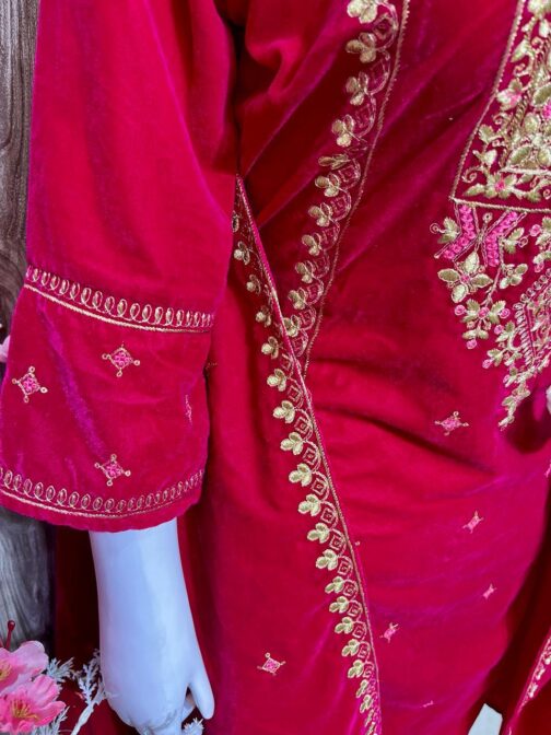 Beautiful Heavy Velvet Pakistani Suit - Image 6