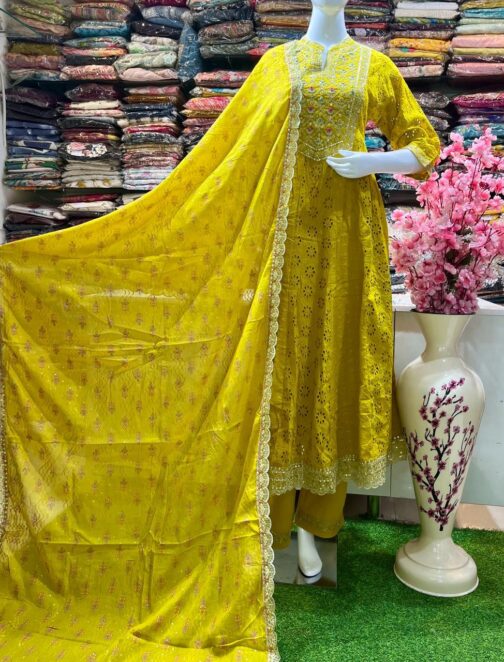 Beautiful Anarkali Suit Set