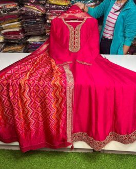 Beautiful Anarkali Gown With Embroidery