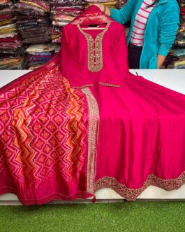 Beautiful Anarkali Gown With Embroidery