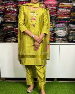 Beautiful Suit On Cotton With Embroidery