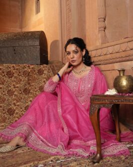 Avni – Designer Anarkali Suit Set