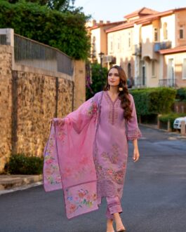 PAVNI – Beautiful Pakistani Suit