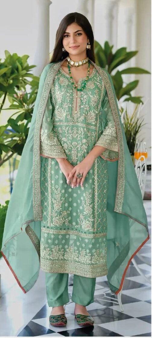Pure organza with Heavy embroidery