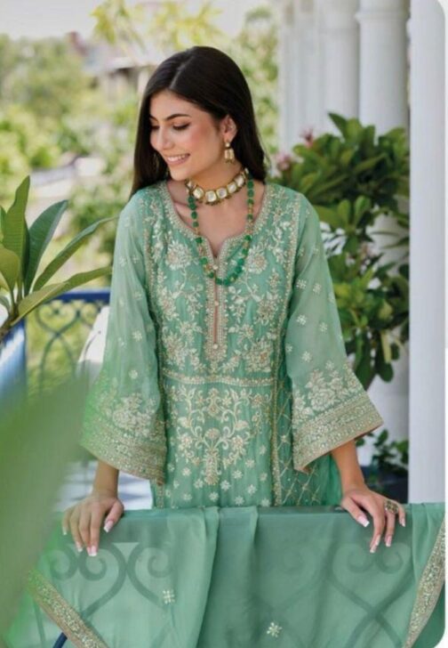 Pure organza with Heavy embroidery