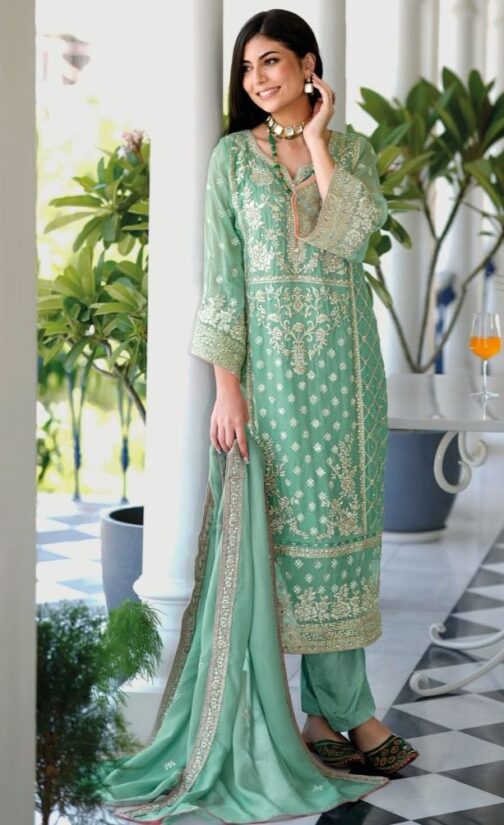 Pure organza with Heavy embroidery