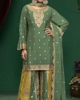 Designer Partywear Suit set