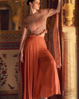 Designer Party Wear Dress