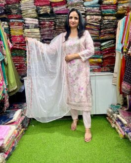 Designer Soft Organza Embroidered Pakistani Suit Set