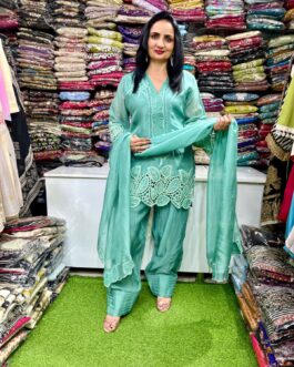 Pure Organza Designer Suit Set