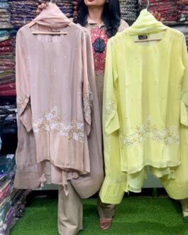 Pure Organza Hand Embroidered Farshi Suit Set