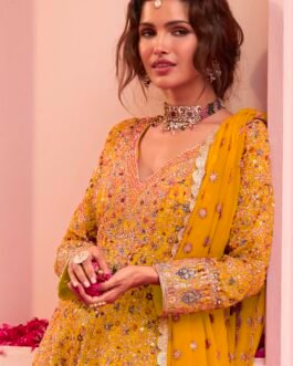 SCD-16 Partywear Pure Georgette Embroidered Suit Set with Divider