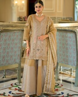SCD-27 pure kanjiwaram silk tissue kurti with divider
