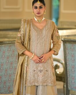SCD-27 pure kanjiwaram silk tissue kurti with divider