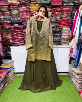 SCD- 168 Designer Indo-Western Ombre Coord Set with HandWork